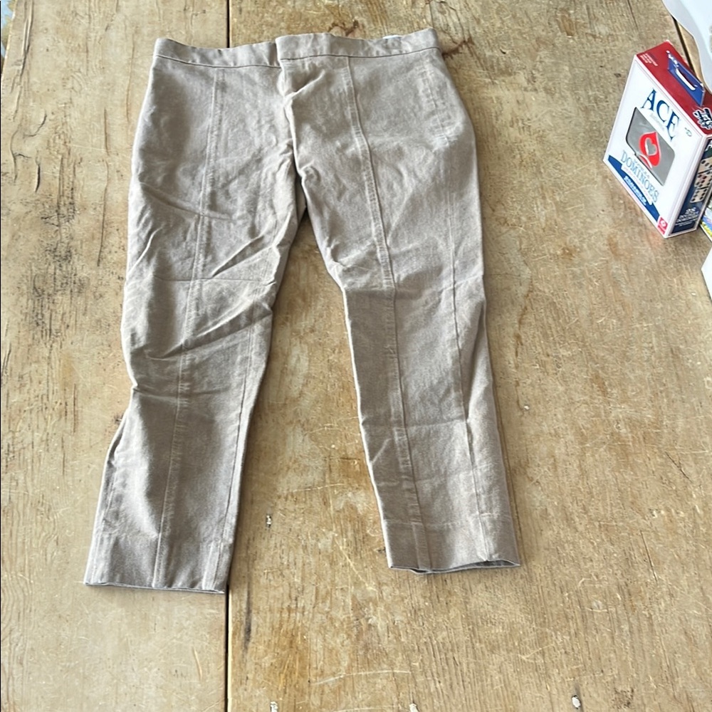 Ladies Banana Republic Petite Pants
